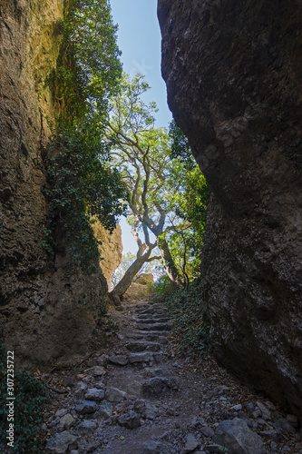 Crimea. View of a narrow gorge.