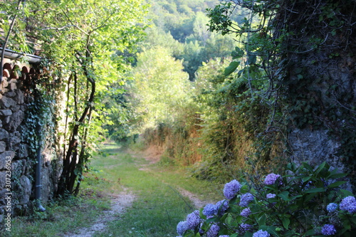 Fototapeta Naklejka Na Ścianę i Meble -  chemin campagne