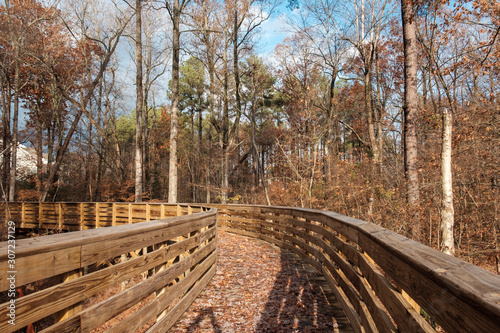 Cary, North Carolina, USA - December 1, 2019: Foliage trees in a cloudy sunset day