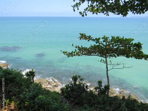 Fototapeta Naklejka Na Ścianę i Meble -  sea ​​landscape with green waters and trees