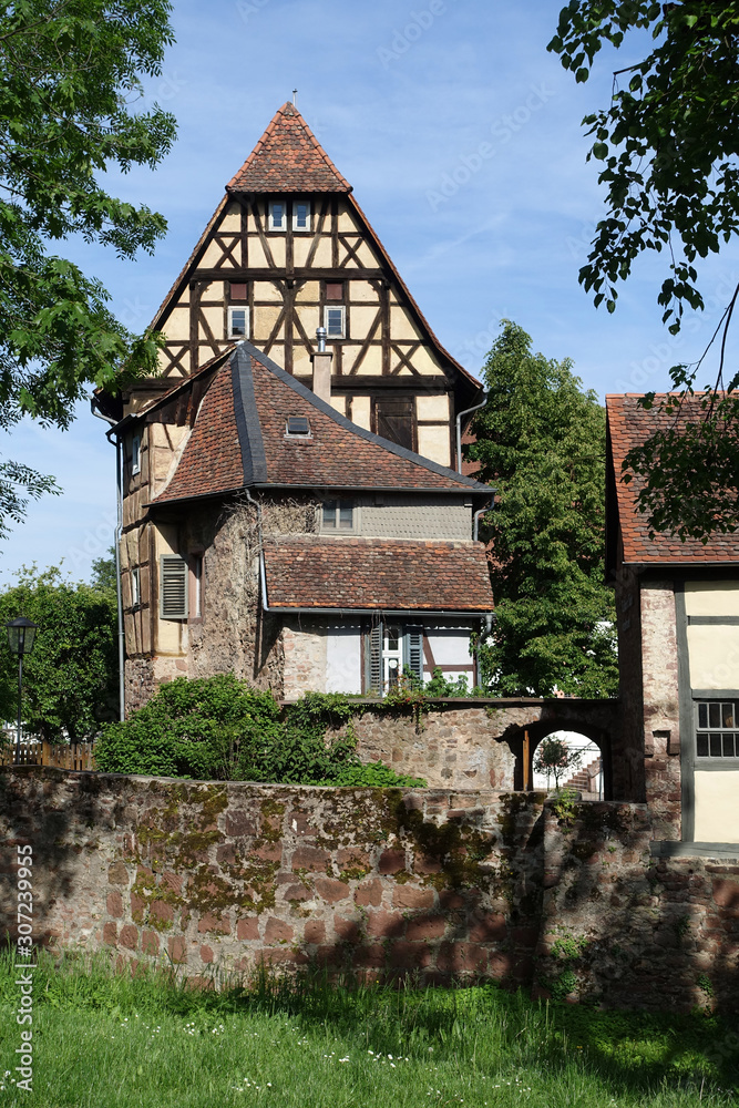 Burg in Michelstadt