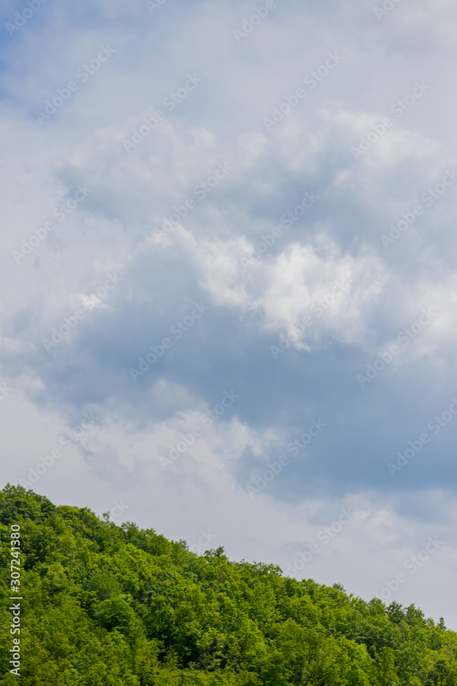 Top of forest on hill and cloudy sky Top of forest on hill and cloudy sky