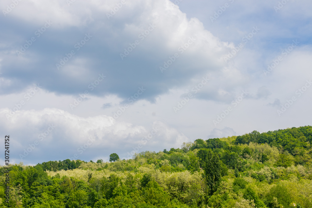 Top of forest on hill and cloudy sky Top of forest on hill and cloudy sky