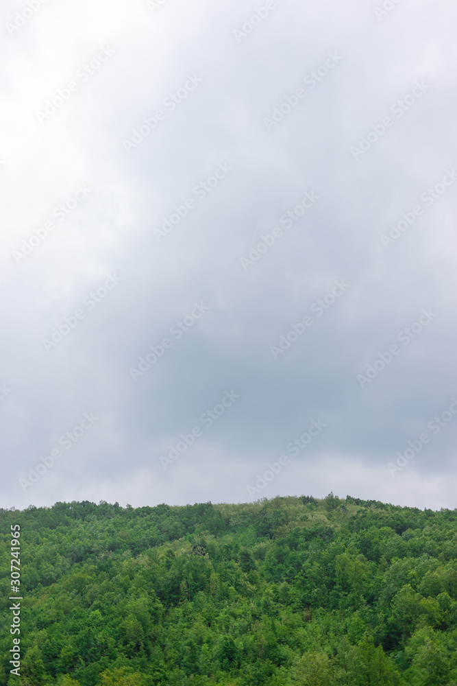Top of forest on hill and cloudy sky Top of forest on hill and cloudy sky