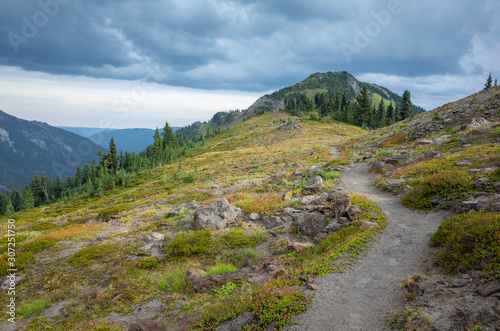 View of the Pacific Crest Trail in alpine meadow, Goat Rocks Wilderness, Gifford Pinchot National Forest, Washington,Hiking trail through alpine wilderness photo