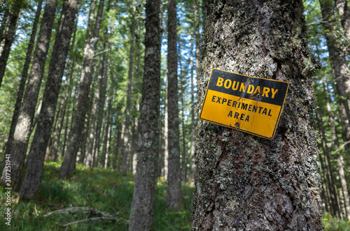 A tree with an identifying marker in an area of experimental activity and forestry along the Pacific Crest Trail.,Pacific Crest Trail
