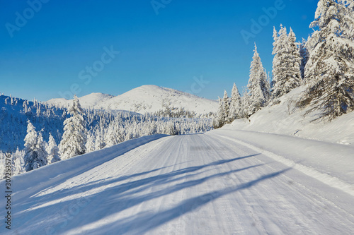 Winter mountain road surrounded by snowy larch