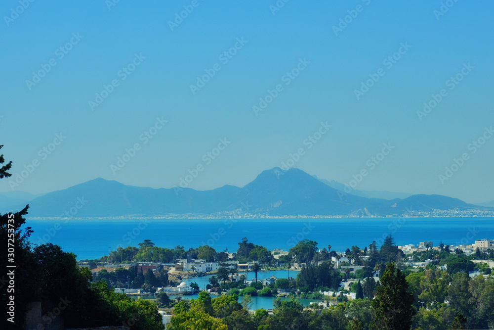 Mountains and Carthage gulf, marine landscape from Byrsa Hill in Tunisia, North Africa Mountains and Carthage gulf, marine landscape from Byrsa Hill in Tunisia, North Africa
