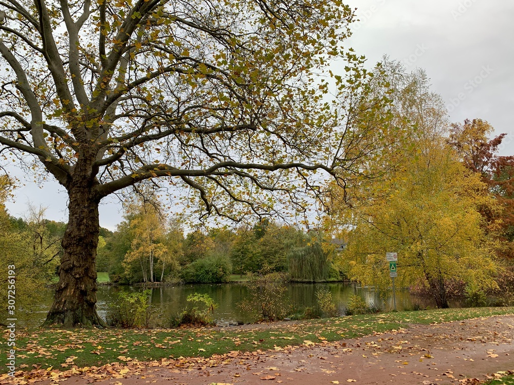 Volkspark in Kaiserslautern in autumn, Germany Volkspark in Kaiserslautern in autumn, Germany