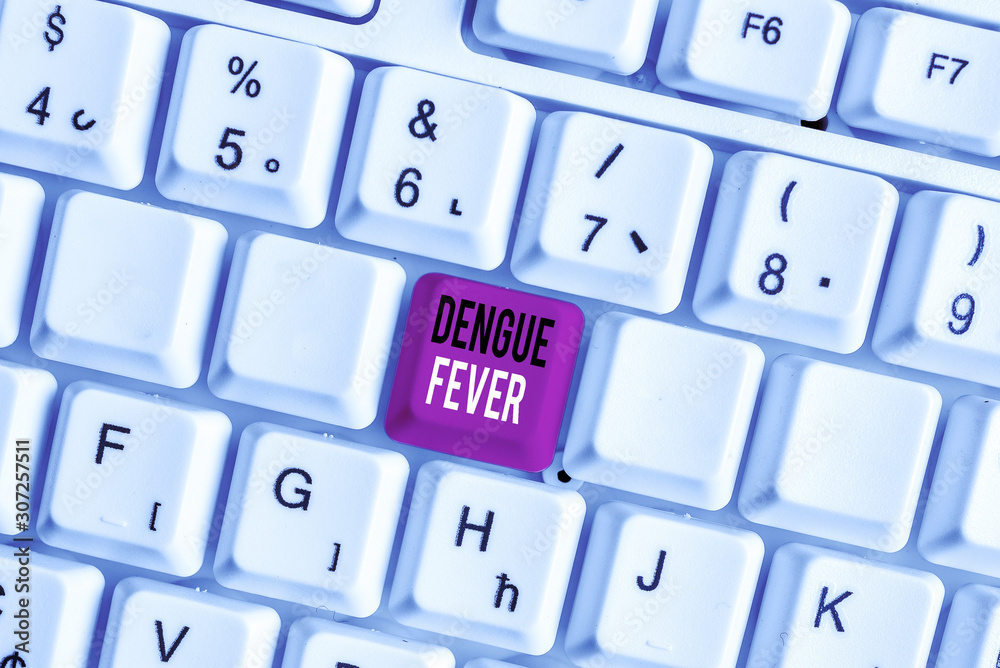 Handwriting text writing Dengue Fever. Conceptual photo infectious disease caused by a flavivirus or aedes mosquitoes White pc keyboard with empty note paper above white background key copy space Handwriting text writing Dengue Fever. Conceptual photo infectious disease caused by a flavivirus or aedes mosquitoes White pc keyboard with empty note paper above white background key copy space