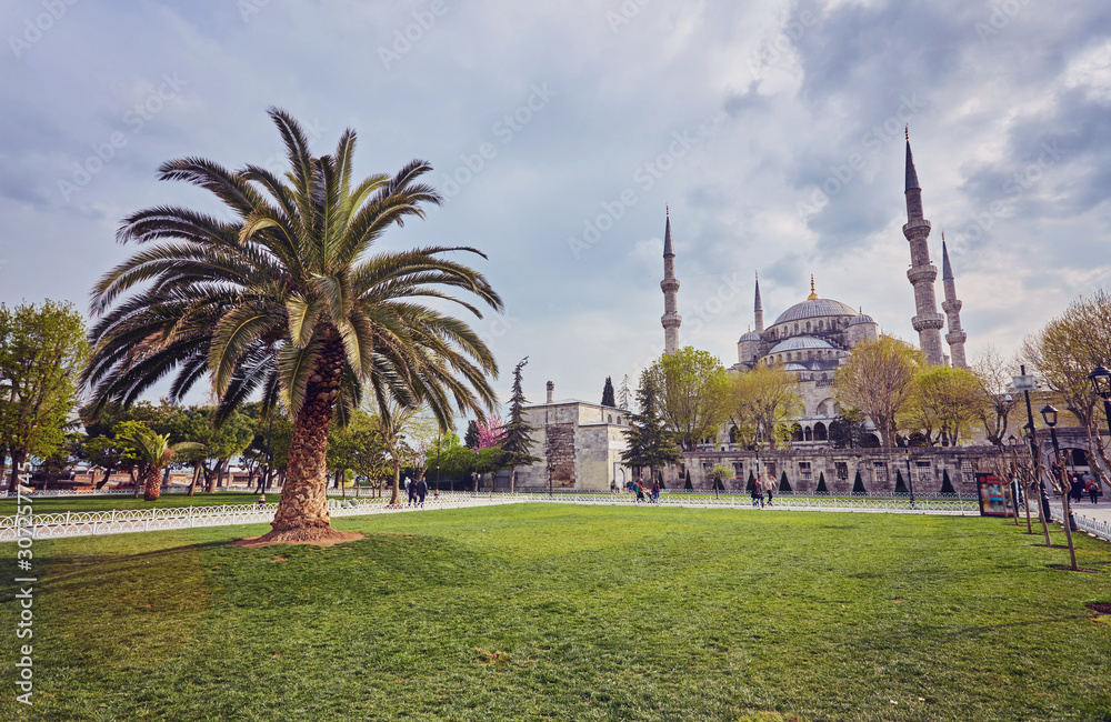 Naklejka premium Sultan Ahmed Mosque in Istanbul, Turkey in a beautiful summer day