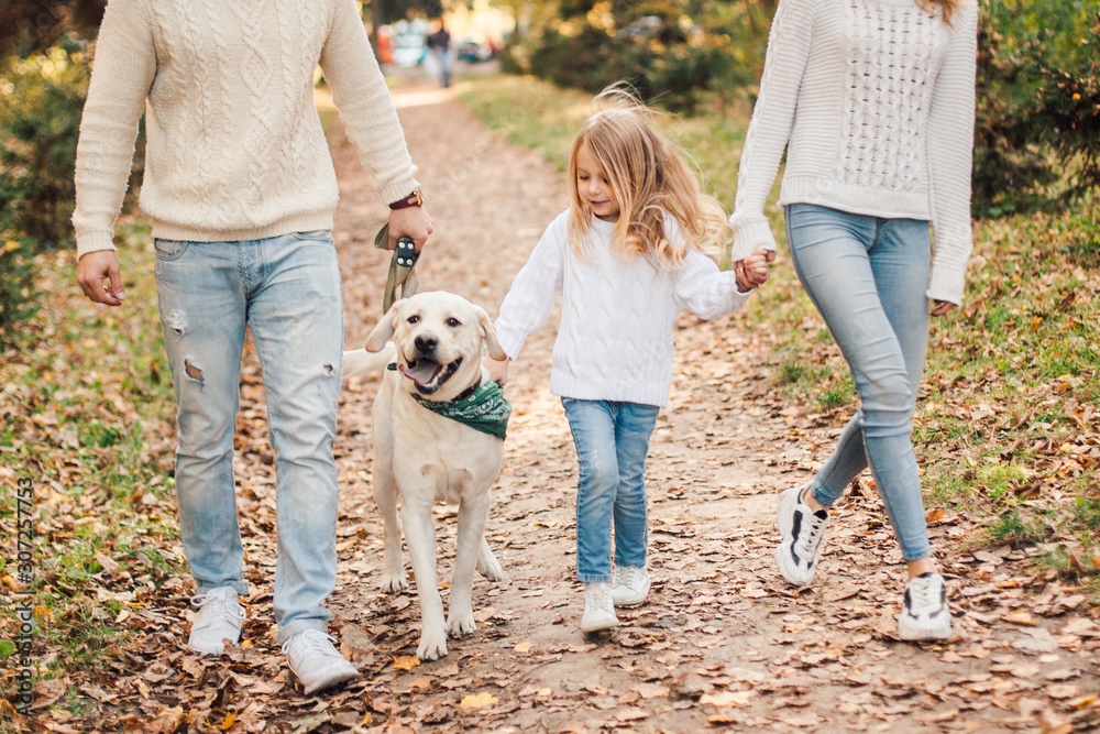Happy beautiful family with dog labrador is having fun together walking the in park. Happy beautiful family with dog labrador is having fun together walking the in park.