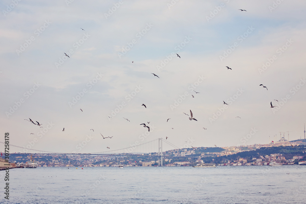 Bosphorus with a old town on a background Bosphorus with a old town on a background