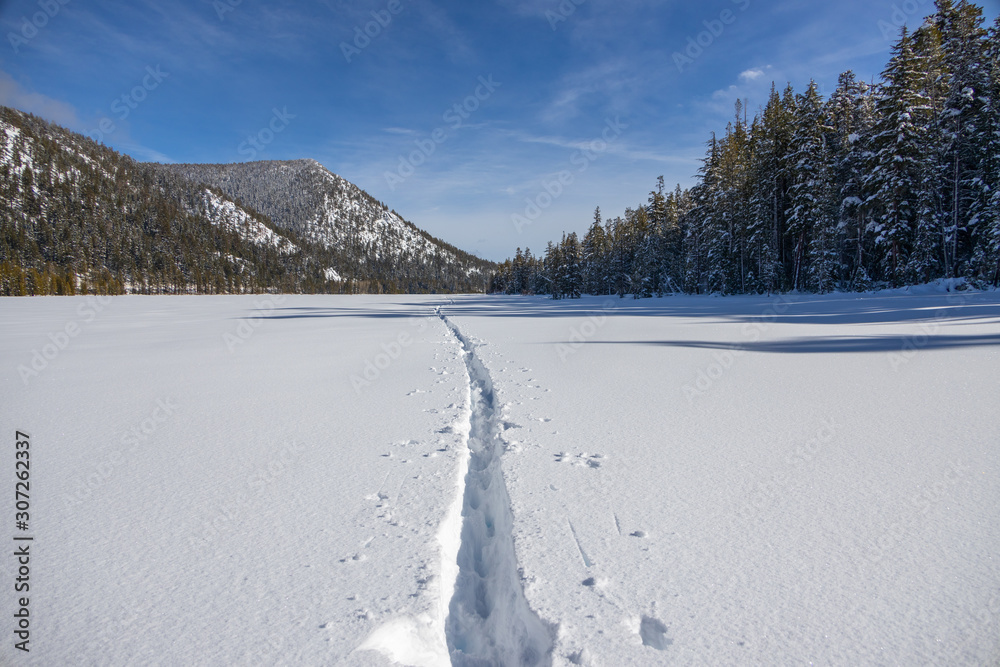 custom made wallpaper toronto digitalWinter Adventure at Grass Lake in the Sierra Nevada