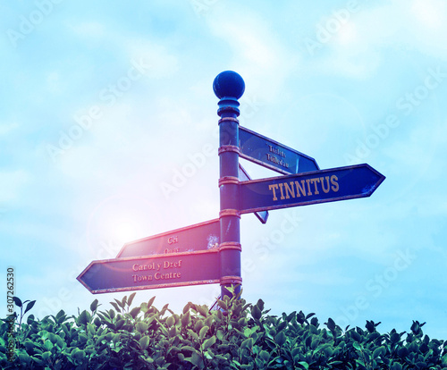 Handwriting text Tinnitus. Conceptual photo A ringing or music and similar sensation of sound in ears Green road sign on the crossroads with blue sky and green grass in the background photo