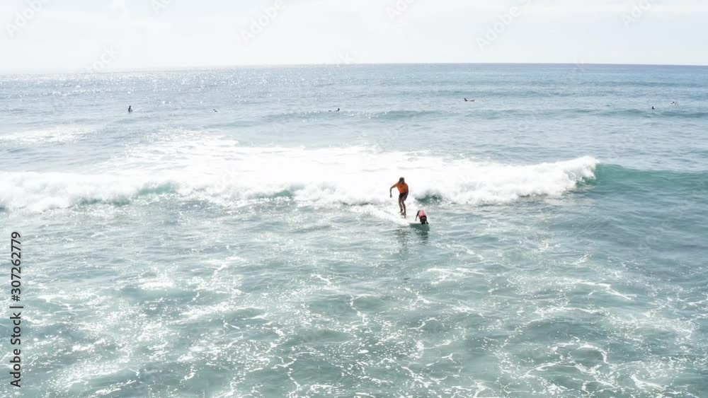 Young guy surfing with is dog in Hawaii Young guy surfing with is dog in Hawaii