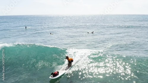 Young guy surfing with is dog in Hawaii photo