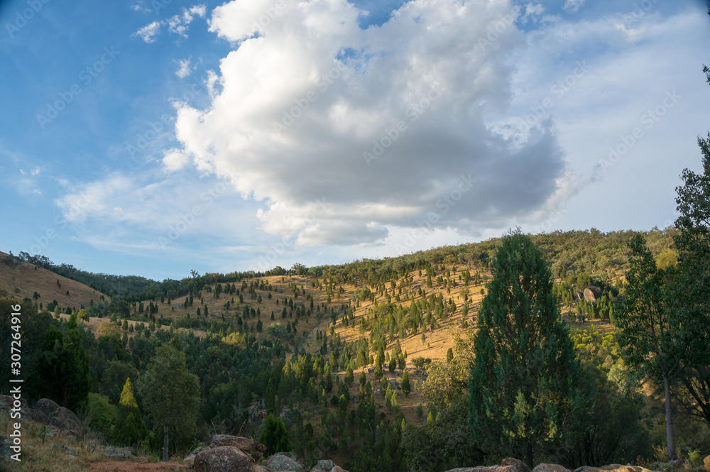 Obraz premium Nature landscape of beautiful hills covered with trees