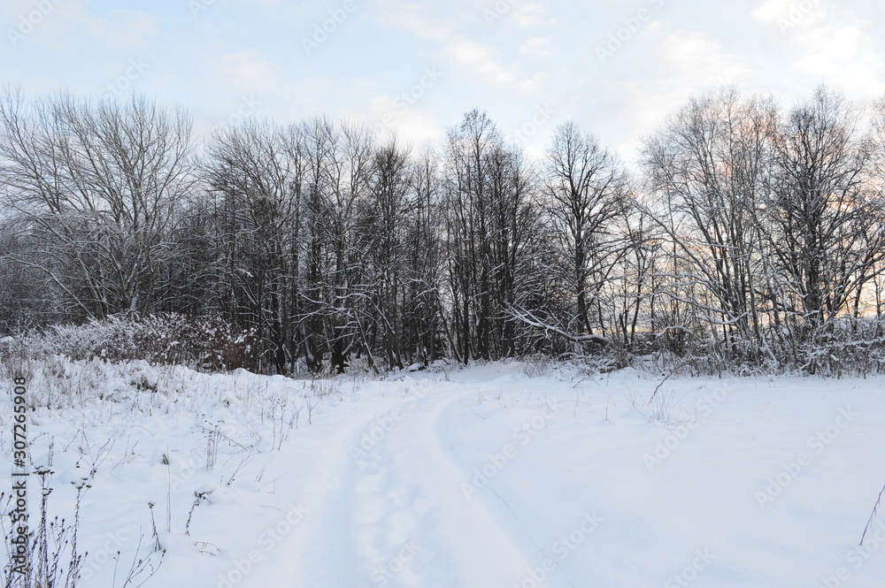 winter in russia winter in russia