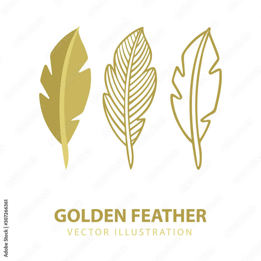 Feather. Isolated nib Icons set. Majestic feather illustrations. Creative authors concept.