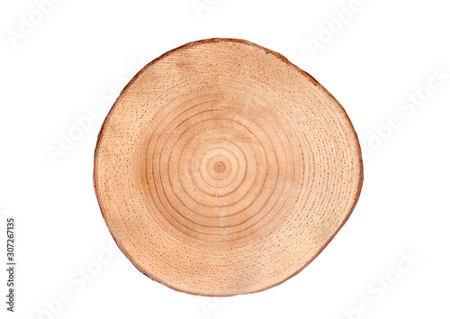 wood stump photo