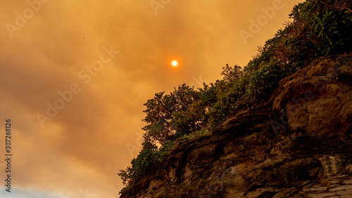 Currowan Bushfire NSW South Coast 2019 photo