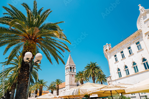 Trogir seaside street with tropical palm trees at summer in Trogir, Croatia