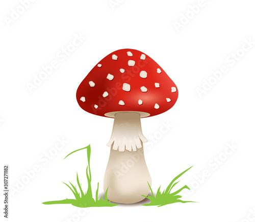 Pilz, Fliegenpilz als Glücksbringer, Vektor Illustration isoliert auf weißem Hintergrund