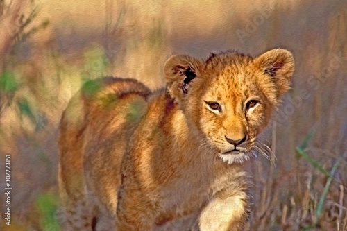 Cute Baby Lion in the bush.