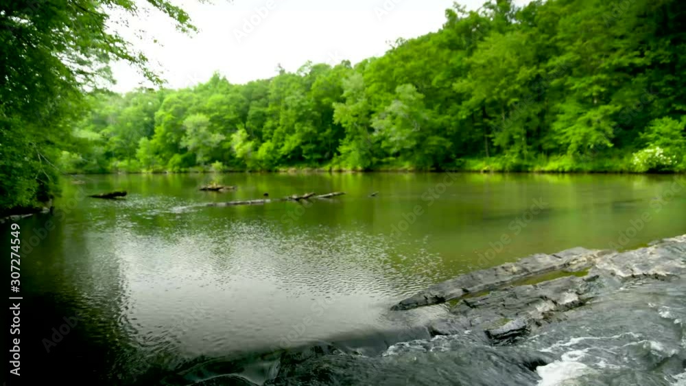 Outdoor reveal by pan, tilt, push, or pull; trees, creeks, rivers, plants. Outdoor reveal by pan, tilt, push, or pull; trees, creeks, rivers, plants.