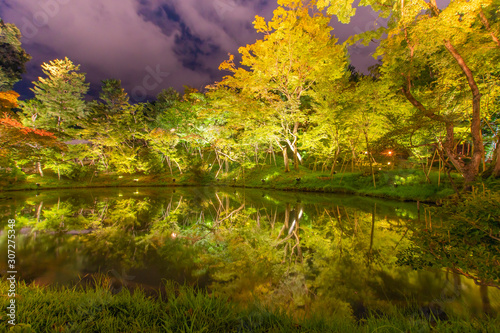 Foliage of tree at night with reflection from the pool creating a beautiful mirror image in Kodaiji Temple, Kyoto, Japan. © DRN Studio