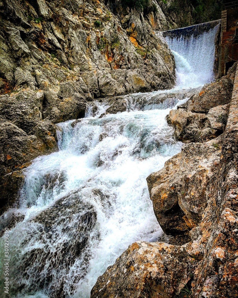 Obraz premium waterfall in forest