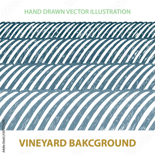 Valley. Vineyard and sunny valley hand drawn illustration. Nature and meadows. Vineyard woodcut style sketch drawing. Landscape abstract background.