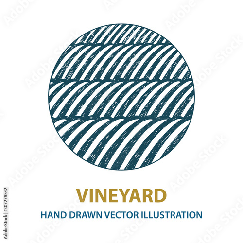 Vineyard. Sunny valley hand drawn illustration. Nature and meadows. Vineyard woodcut style sketch drawing. Landscape abstract background.
