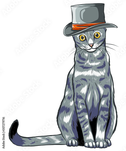 wektorowy-smieszny-brytyjski-kot-modnis-w-szarym-kapeluszu
