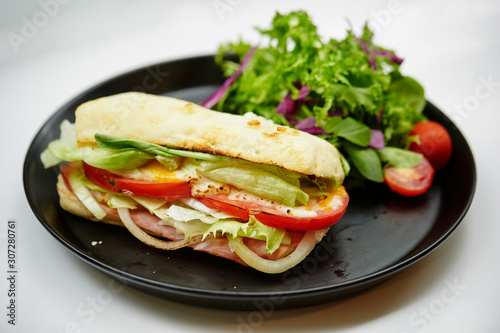 Panini sandwich 