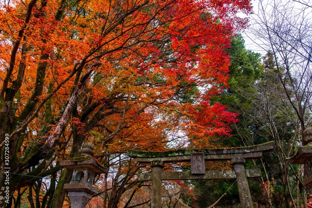 佐田神社の紅葉
