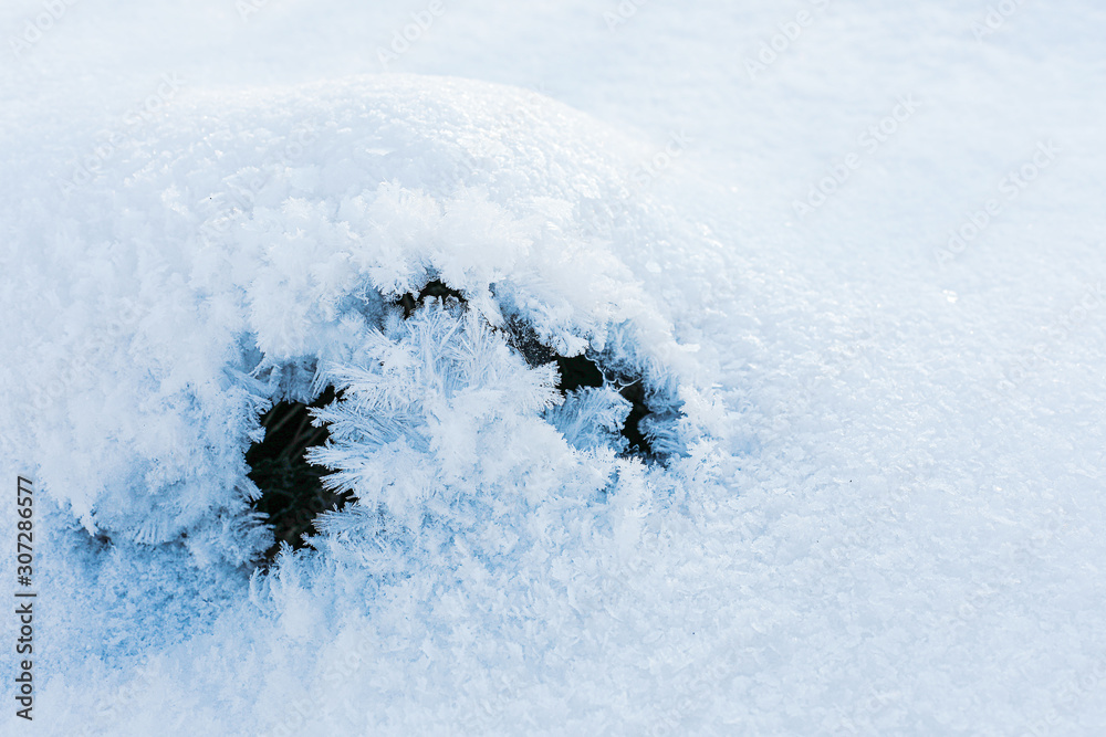 Nature Winter Christmas background with snow. Copy space. Nature Winter Christmas background with snow. Copy space.