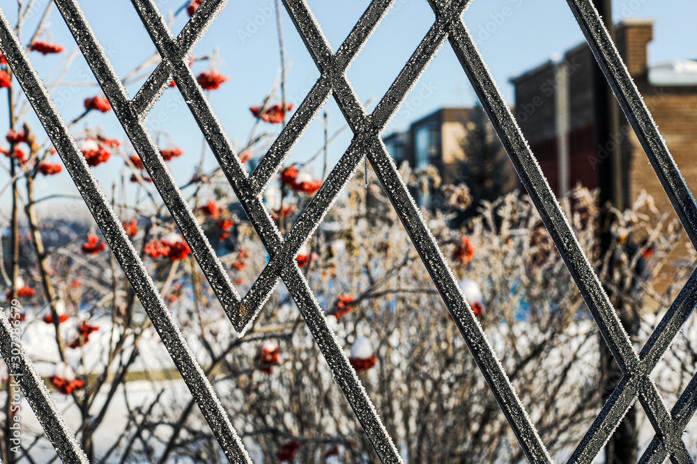 Snow metal fence