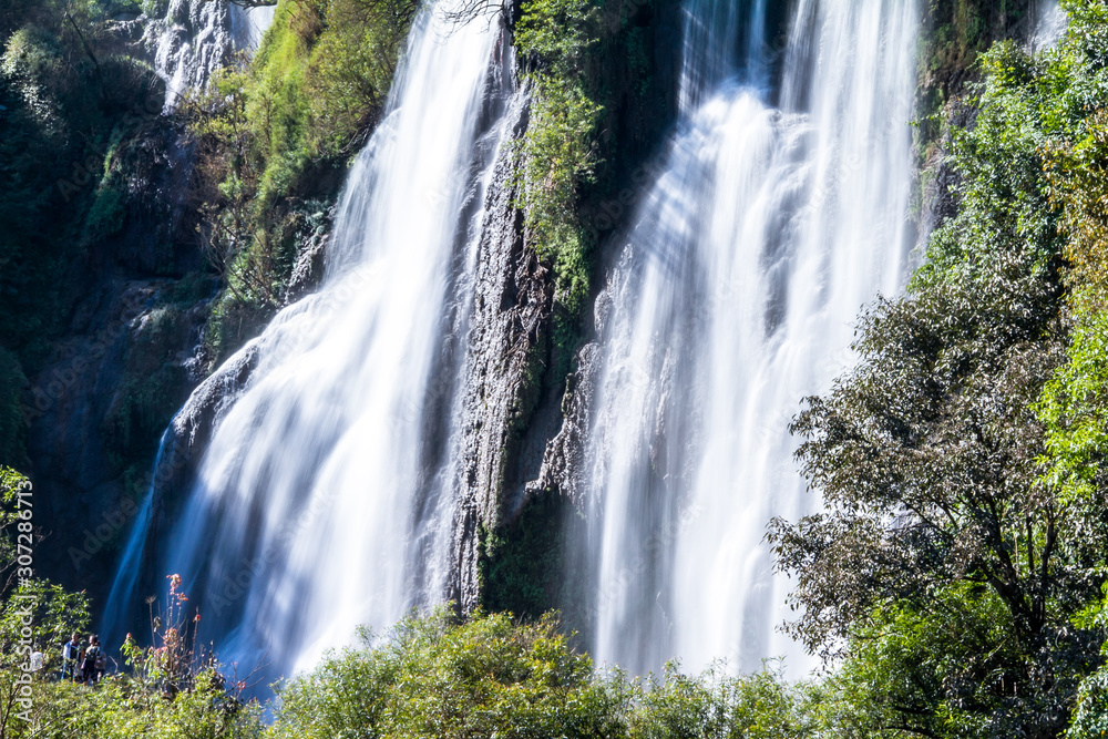 waterfall in forest