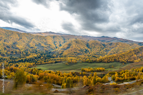 Autumn birch on the sky. Yellow leaves on a birch tree in an autumn forest. Autumn day in the woods in nature. 