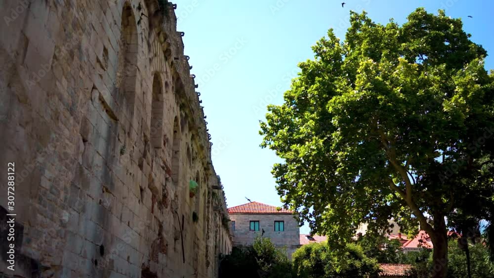 Birds fly around the Split city wall close angle Birds fly around the Split city wall close angle