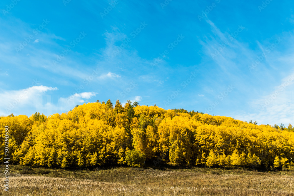 Autumn autumn in Xinjiang.