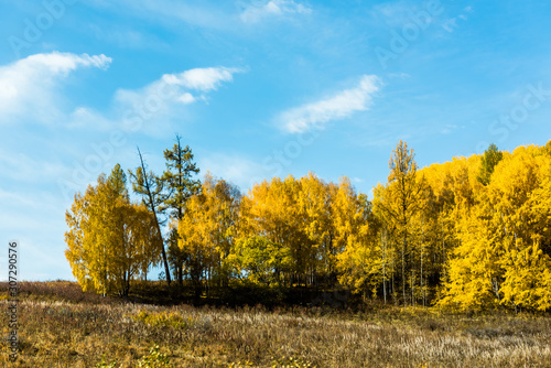 Autumn autumn in Xinjiang.