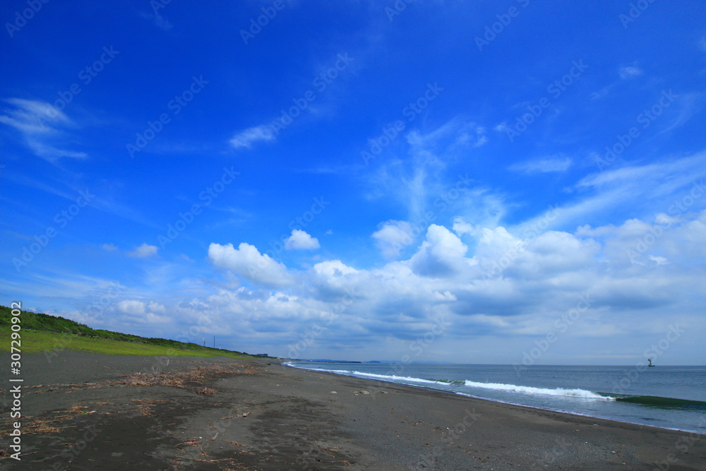 海 海