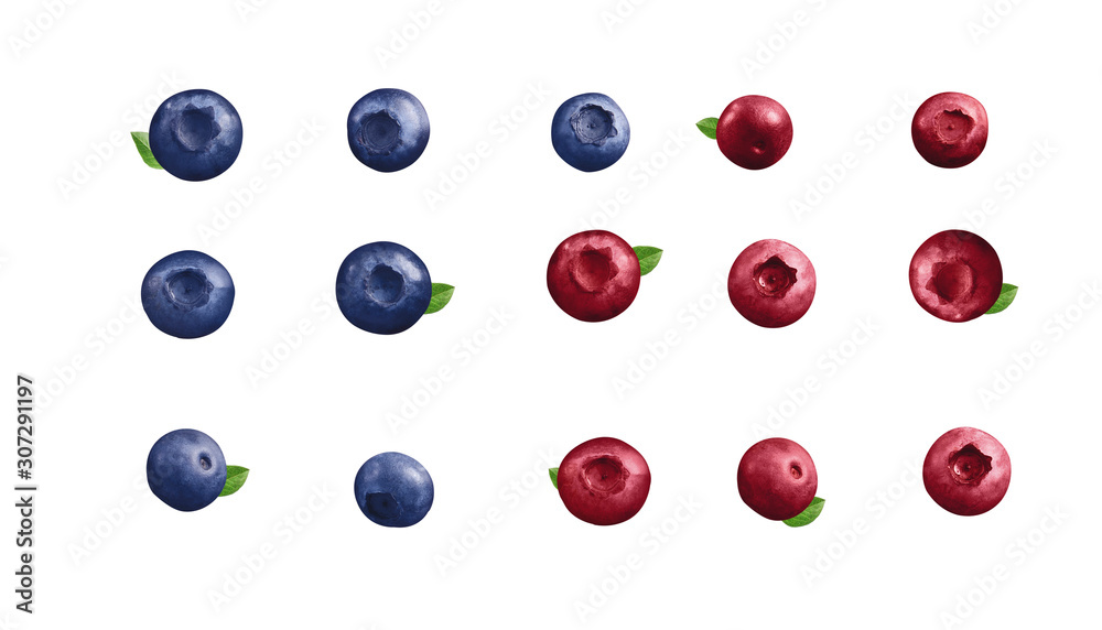 set of blueberries fresh fruits isolated on white background set of blueberries fresh fruits isolated on white background