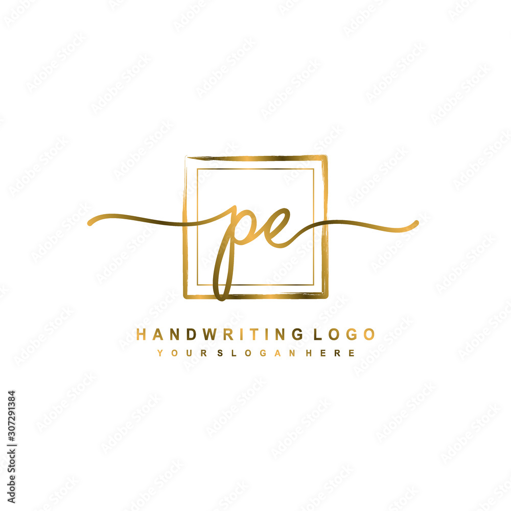 Initial P E handwriting logo design, with brush box lines gold color. handwritten logo for fashion, team, wedding, luxury logo.