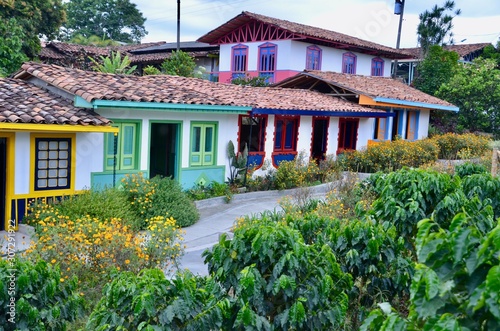 Colourful coffee farm houses in Armenia, Quindio, Colombia photo