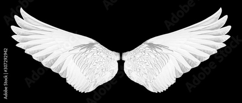 white wings of dove on a black background