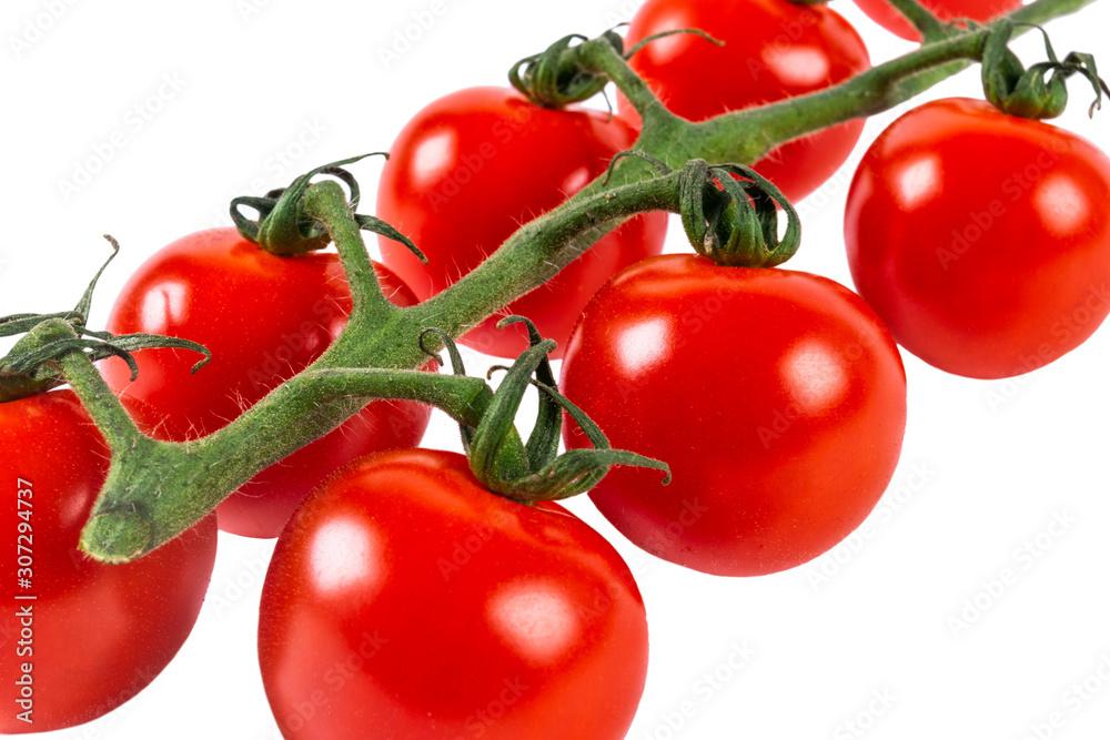 Branch of Cherry Tomato Isolated on white background. Top view.  Fresh cherry tomatoes isolated on white. Tomato isolated